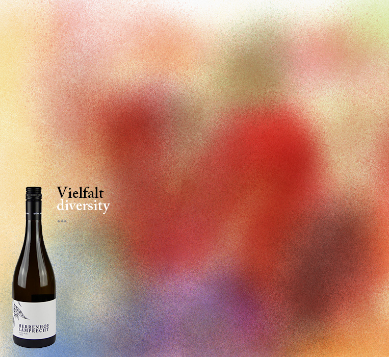 Titelbild_Webseite_050816_diversity