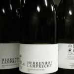 Pinot Blanc 2010 available