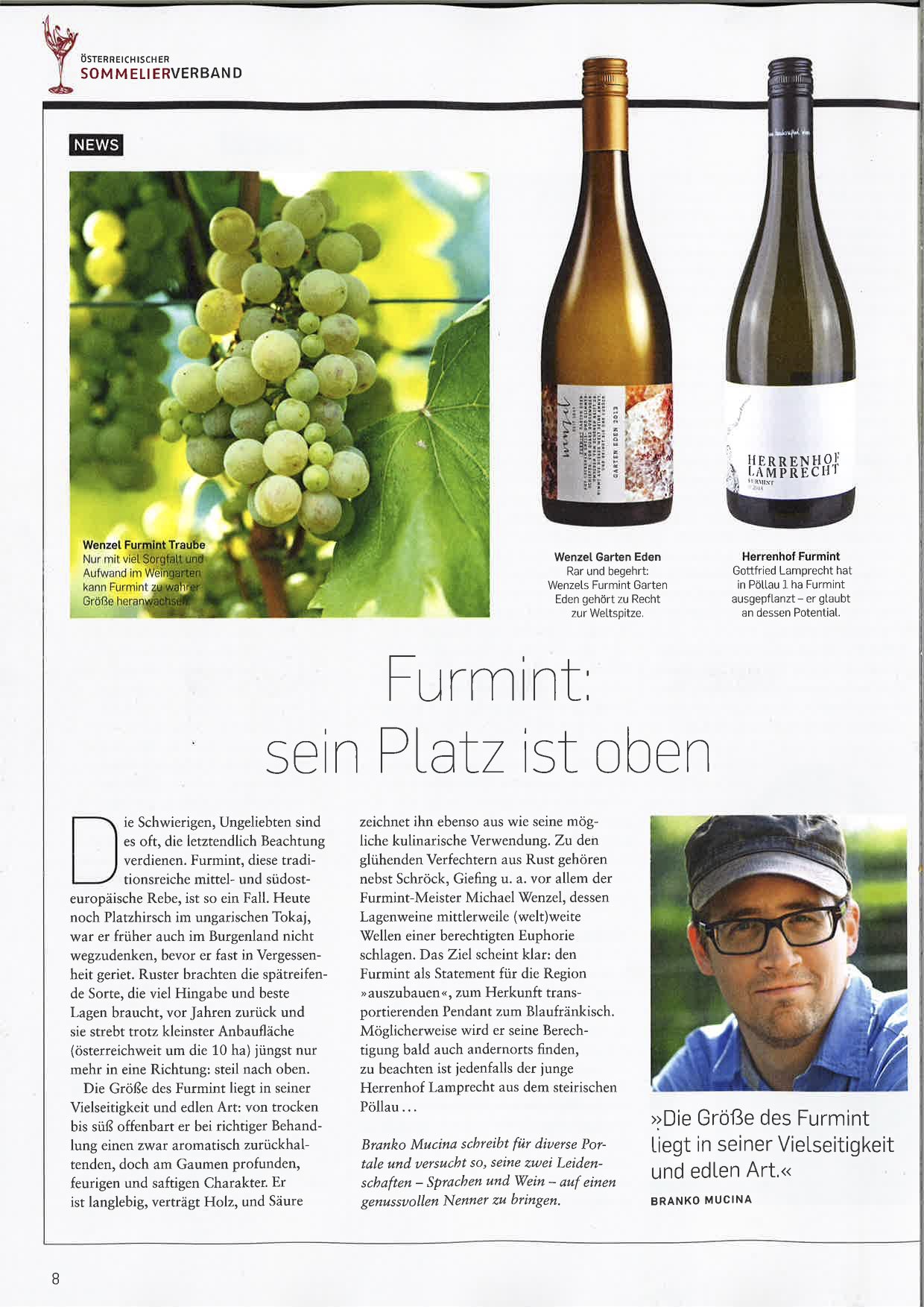 Furmint_Falstaff_Artikel