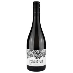 Sauvignon Blanc Silt und Kies 2024 BIO