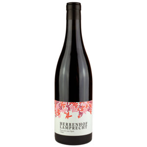 Pinot Noir vom Opok 2024 BIO