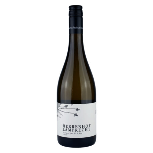 Sauvignon Blanc Silt und Kies 2023 BIO
