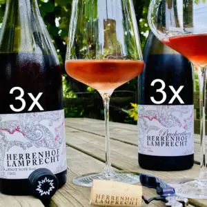 Rosé Weinpaket BIO