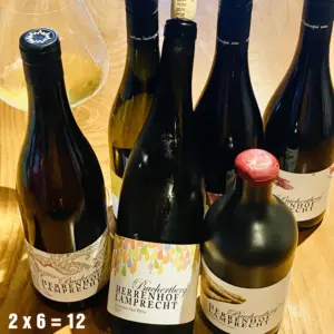 Das 12er Buchertberg Weinpaket BIO